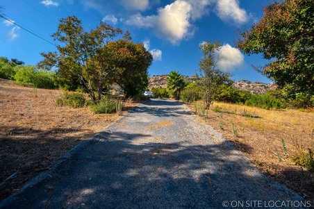 Enlarge photo 195