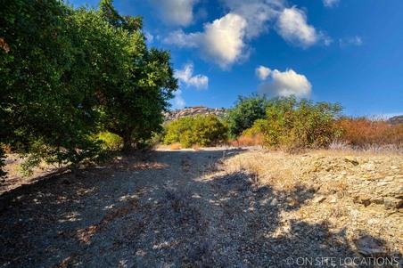 Enlarge photo 211