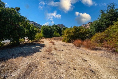 Enlarge photo 213