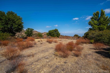 Enlarge photo 214