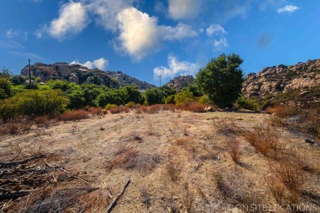 Enlarge photo 216