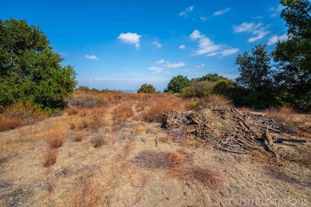 Enlarge photo 217