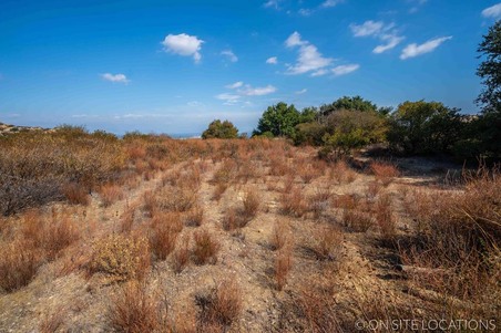 Enlarge photo 218