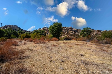 Enlarge photo 219