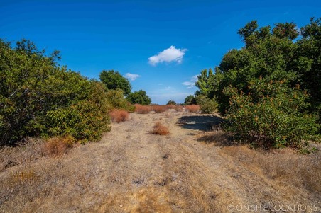 Enlarge photo 220
