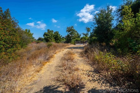 Enlarge photo 222
