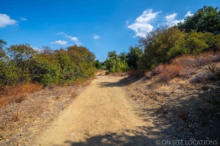 Enlarge photo 224