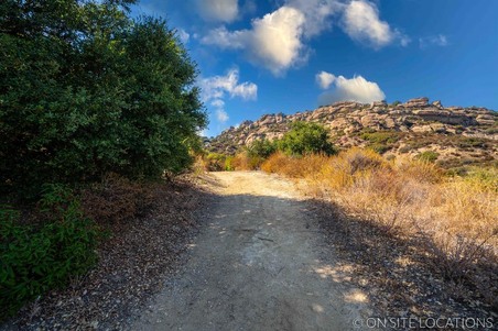 Enlarge photo 225