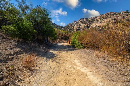 Enlarge photo 227