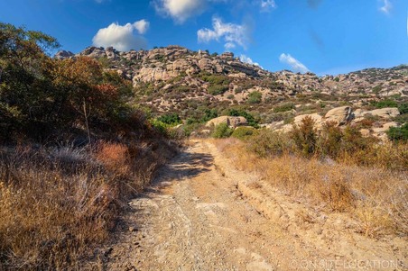 Enlarge photo 229