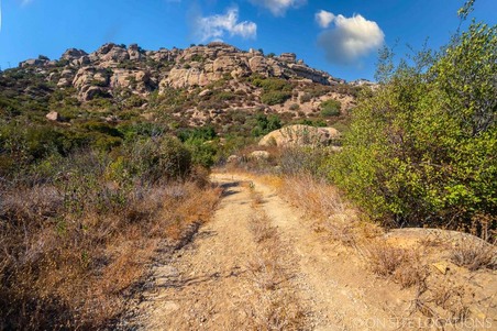 Enlarge photo 231