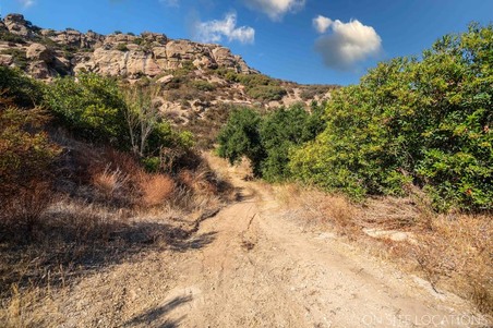 Enlarge photo 236