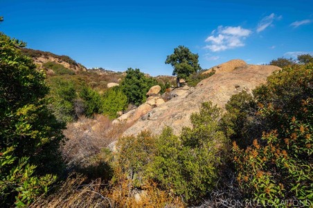 Enlarge photo 237