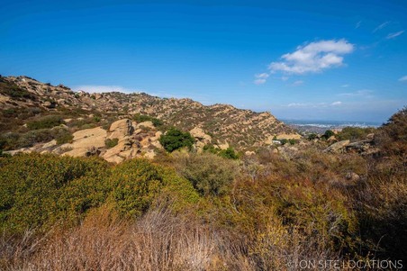 Enlarge photo 238