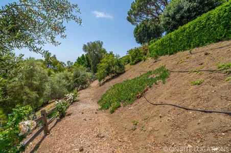 Enlarge photo 129