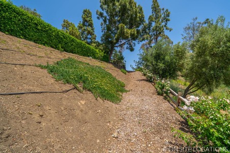 Enlarge photo 130