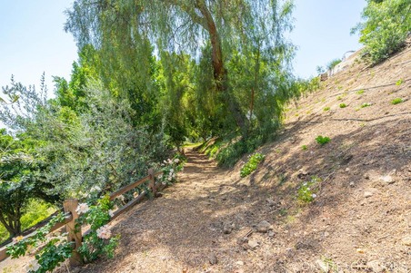 Enlarge photo 131