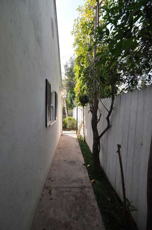 Enlarge photo 62