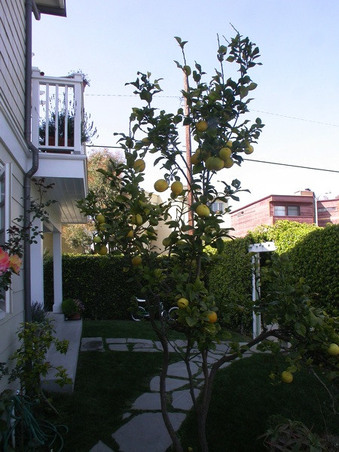 Enlarge photo 3