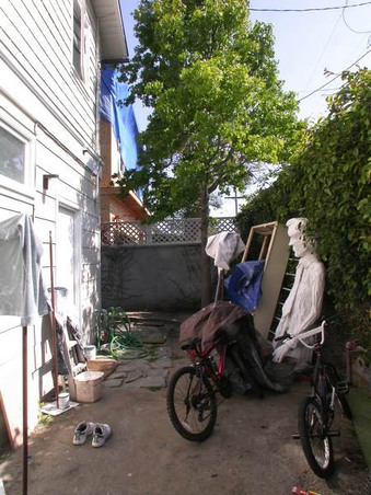 Enlarge photo 65