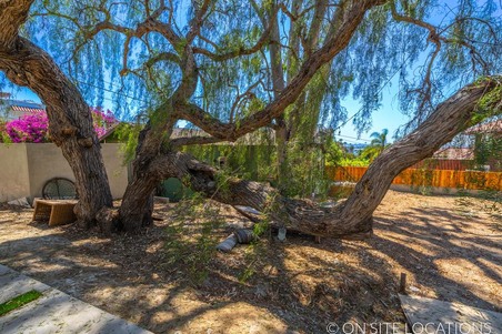 Enlarge photo 132
