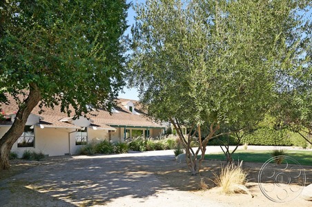 Enlarge photo 62