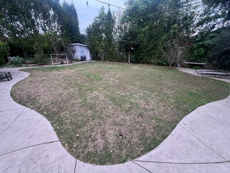 Enlarge photo 59
