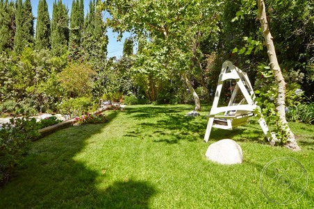 Enlarge photo 41