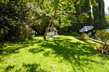Enlarge photo 42