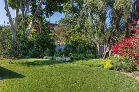 Enlarge photo 46