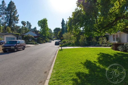 Enlarge photo 61