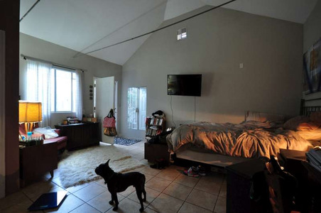 Enlarge photo 45