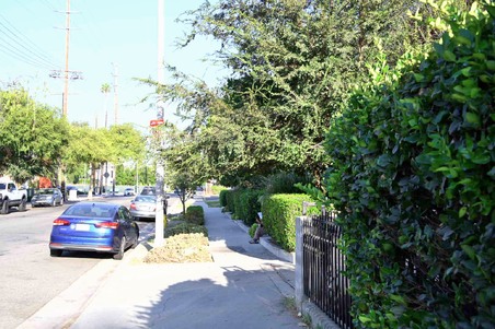 Enlarge photo 8