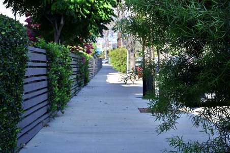 Enlarge photo 21