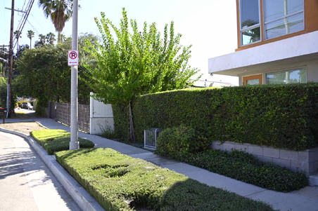 Enlarge photo 23