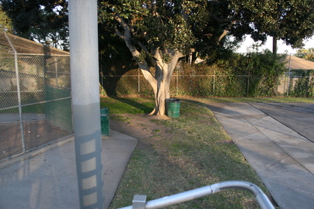 Enlarge photo 70