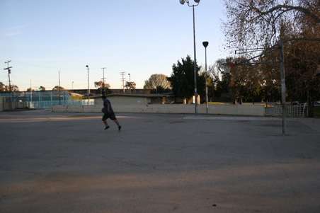 Enlarge photo 87