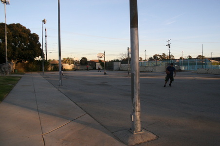 Enlarge photo 88