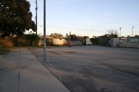 Enlarge photo 93