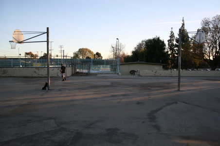 Enlarge photo 95