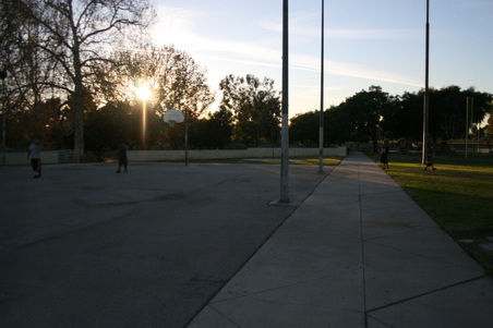 Enlarge photo 97