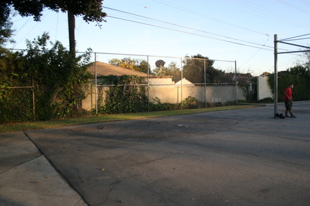 Enlarge photo 98