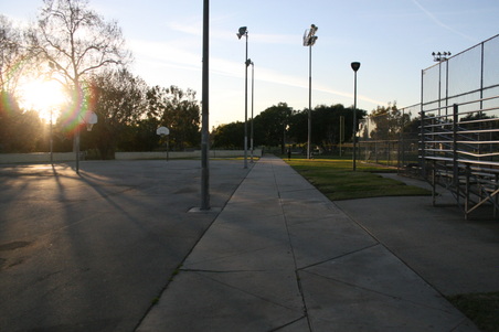 Enlarge photo 102