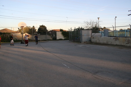 Enlarge photo 113