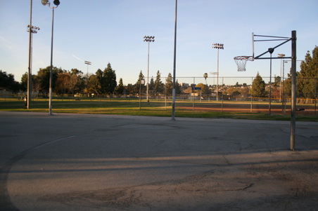Enlarge photo 114