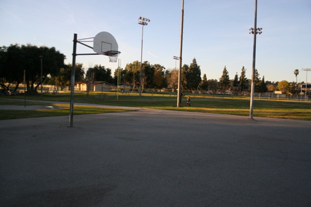 Enlarge photo 116