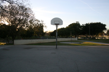 Enlarge photo 117