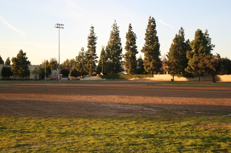 Enlarge photo 124