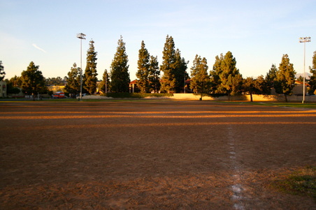 Enlarge photo 134