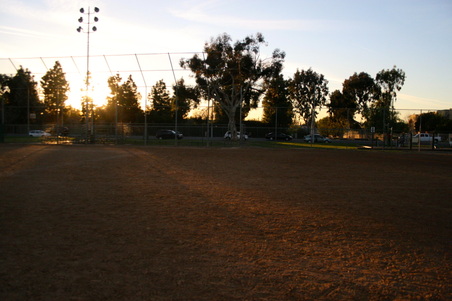 Enlarge photo 137